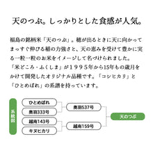 画像をギャラリービューアに読み込む, 米 5kg 天のつぶ お米 令和6年産 福島産 精米 白米 5kg x1袋 送料無料（沖縄のぞく）
