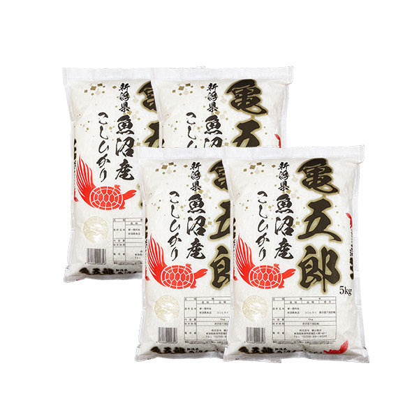 米 20kg 亀五郎さんのコシヒカリ 令和6年産