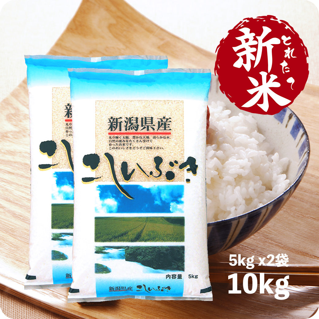 新米 10kg 新潟県産こしいぶき 令和6年産