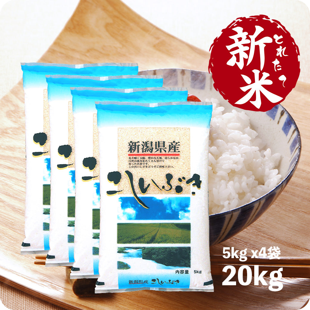 新米 20kg 新潟県産こしいぶき 令和6年産