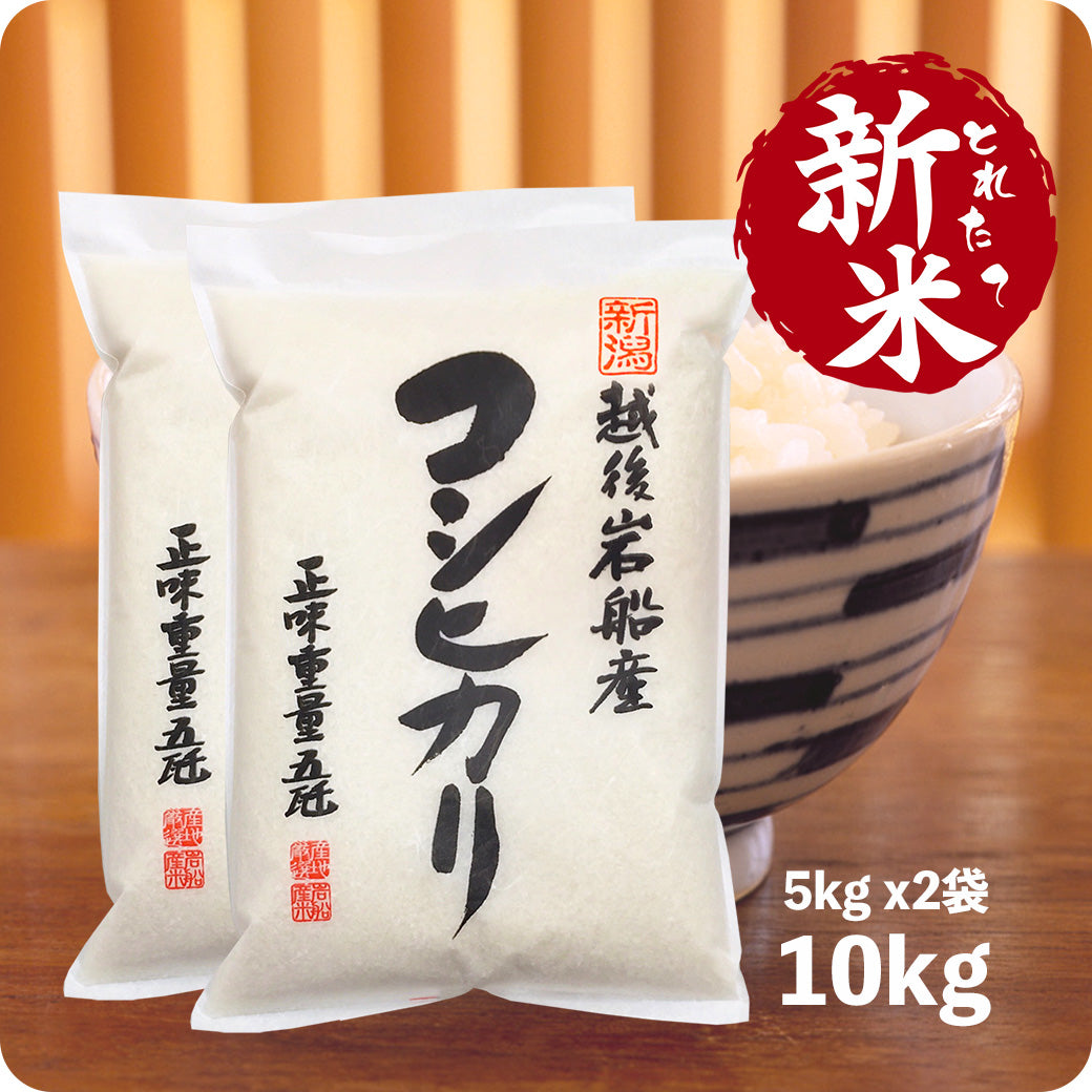 新米 10kg 岩船産コシヒカリ 令和6年産