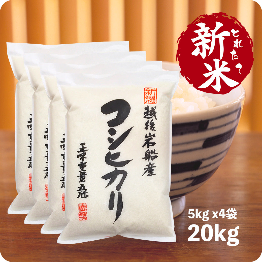 新米 20kg 岩船産コシヒカリ 令和6年産