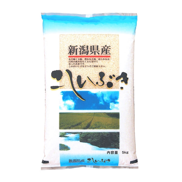 米 5kg 新潟県産こしいぶき 令和6年産